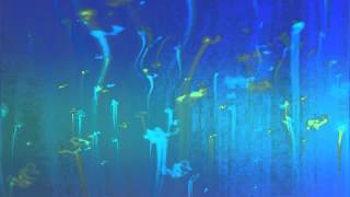 Rocco Hunt feat  Eros Ramazzotti : Credi