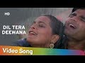 Dil Tera Deewana Hai Mithun Chakraborty Juhi Chawla Raghuveer Bollywood Songs Kumar Sanu