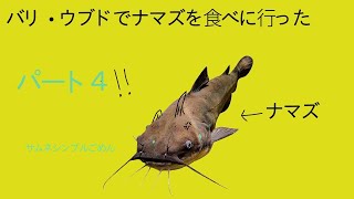 【ナマズ・レレ】を食べに行きました。😆