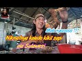 makan kaledo kaki sapi ala sulawesi.