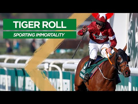 Tiger Roll - Sporting Immortality