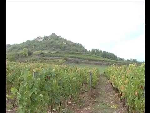 Panat e Cassanhas…