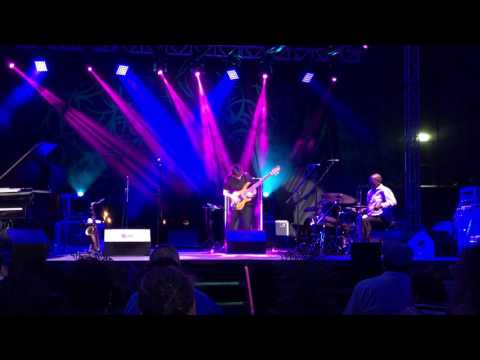 Dane Alderson - Yellowjackets