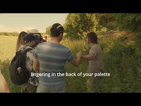 Redaktory video.