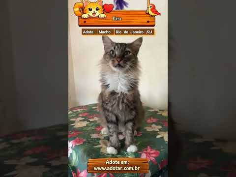 Vídeo de Ken