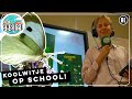 Vlinders in de klas maken kinderen blij | Radio | Vroege Vogels