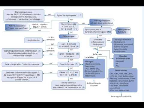 Mesurer la pression sanguine gratuitement Vidéo charge pour hypertensive