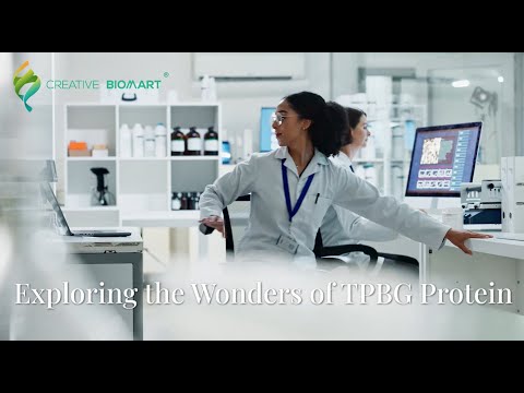 Exploring the Wonders of TPBG Protein