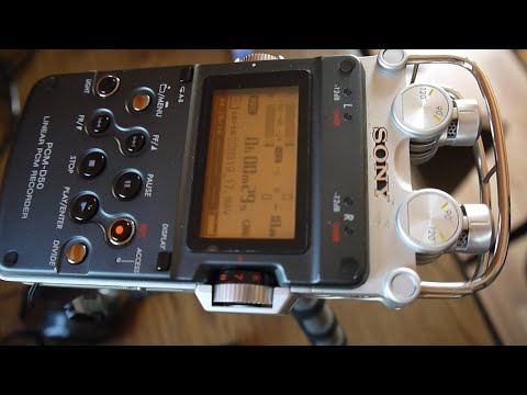 Sony PCM-D50 2020-ish - Silver/Grey image 4