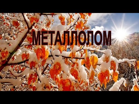 Металлолом ! Первый снег !!! Лёнчик мутит тему . $$$