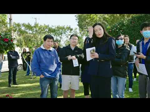 Auction - 2 Jindalee Place, East Killara - Jessica Cao | Ray White Upper North Shore