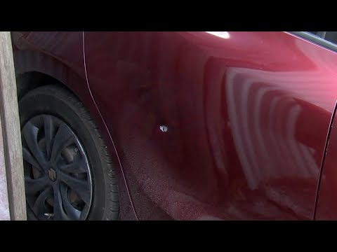 Fatal shooting in Wildey leaves community reeling