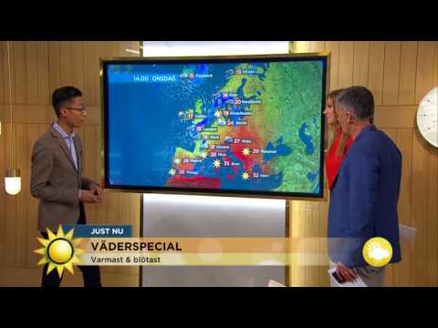 Meteorologen: Här hittar du värmen just nu! - Nyhetsmorgon (TV4)