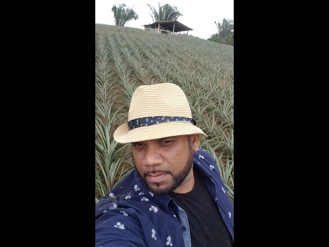 BIG RICH LIME RELOADED S1E1 (Catos Ranch, Farmer Saran & Brian Mohan Pine Field)