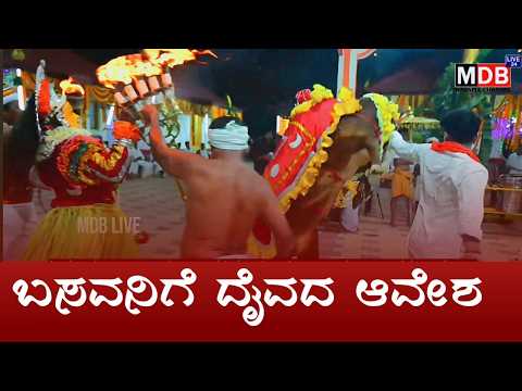 ಬಸವನಿಗೆ ದೈವದ ಆವೇಶ || Kodamanithaya, kukkinanthaya nema || MDB LIVE24