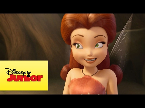 Disney Fadas - Si a Cor Combina