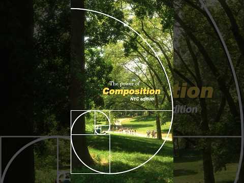 The Power of Composition