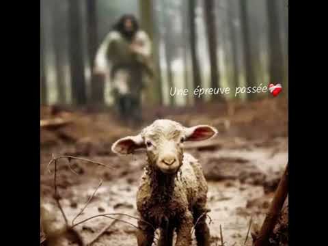 Nouveau cantique 2024 kurley une épreuve passée