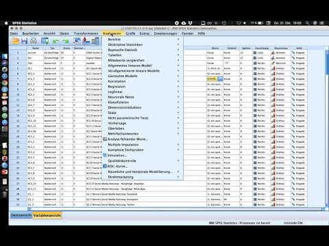 030 Univariate Intervallschätzung in SPSS