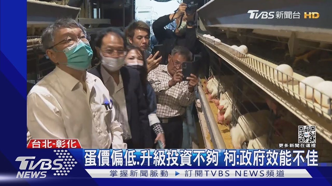 蛋價偏低升級投資不夠 柯文哲:政府效能不佳