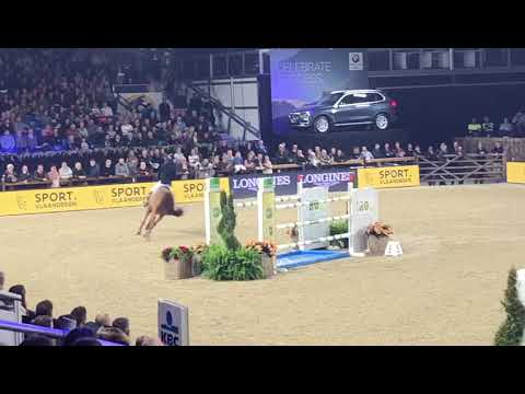 Comme Il Faut -  Open Sires of the World Zangersheide - J Off - CSI5*- W Mechelen 2018