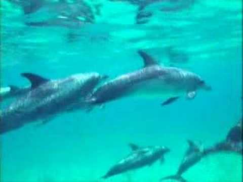 Varan TV - Eventually