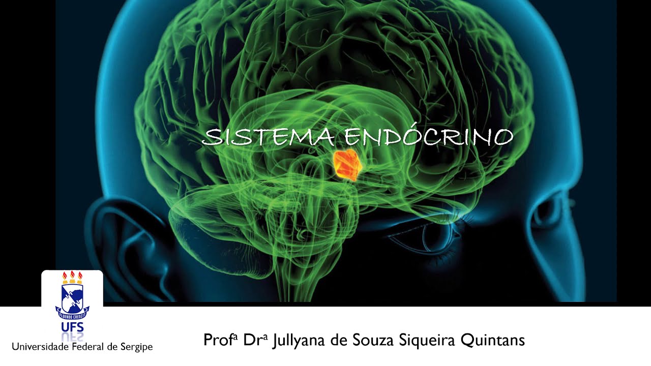 MÓDULO 2   Aula 1   Sistema endócrino