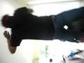 Freek A Leek