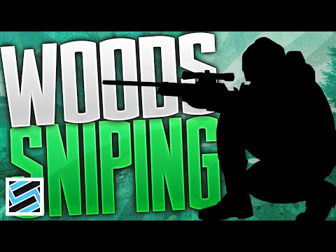 Woods Sniping Spots you May Not Know - Escape from Tarkov