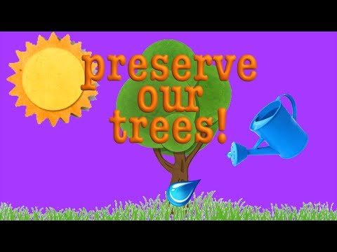 Tree Song- Learn about Trees! Roots, and Trunks, and Leaves!