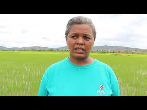 Tohadrano Tongoloina Ampahitrosy