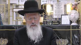 הגאון הרב אברהם יוסף שליט"א מבדיל שליח ציבור כדי להוציא מי שאין לו יין סימן רצה סעיף א (הרב אברהם יוסף) - התמונה מוצגת ישירות מתוך אתר האינטרנט יוטיוב. זכויות היוצרים בתמונה שייכות ליוצרה. קישור קרדיט למקור התוכן נמצא בתוך דף הסרטון