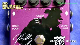 Video thumbnail for EBS Billy Sheehan Signature Drive ::: Kitarablogi.com by Kitarablogi