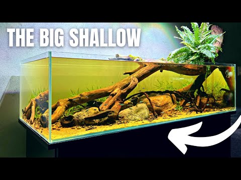 The NEW Amazon RIVERBANK! Big Shallow 3.0 - Full Step By Step Aquascape Tutorial