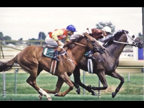 1988 VATC Futurity Stakes _ Vo Rogue