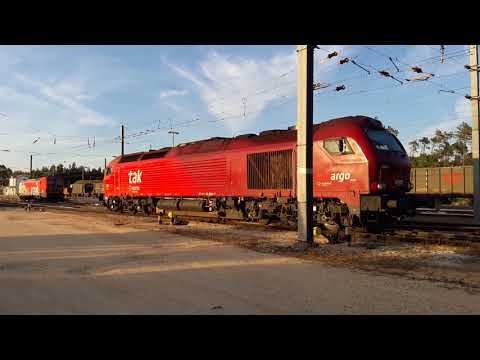 Takargo n.º6004 com comboio de madeira no Louriçal