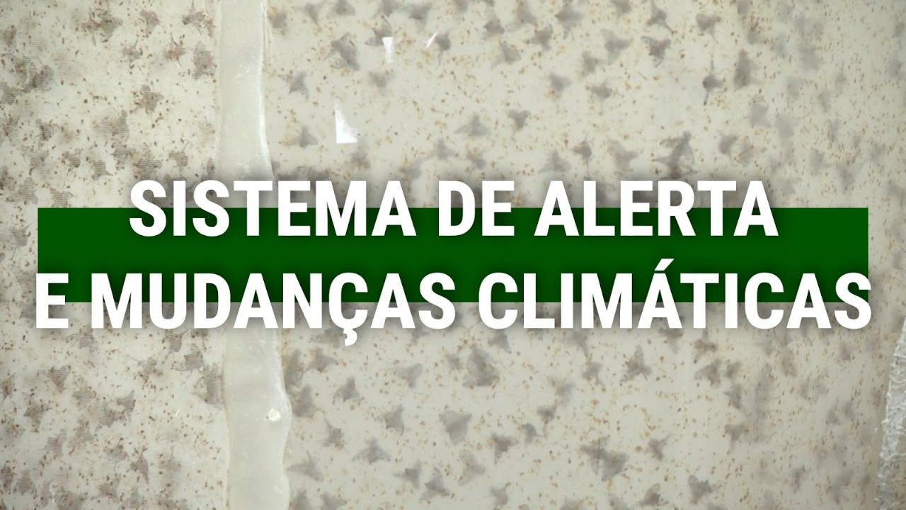 Sistema de alerta: monitoramento da mosca das frutas em tempos de mudanças climáticas | Terra Sul