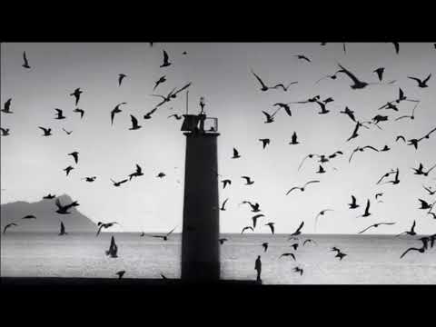 The Cinematic Orchestra   Arrival of The Birds & Transformation
