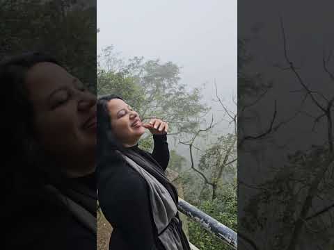 picada café,rio grande do sul