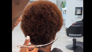 Can’t Believe That Afro Turned Into A Curl Bush So Effortlessly!
