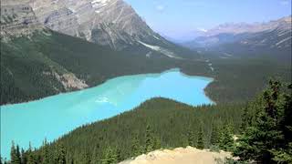 Willard Grant Conspiracy - I Miss You Best