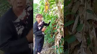 Download lagu Guyonan Bah ulis #funny #gudanghiburan #comedy #hiburansegar #subscribe mp3 Download lagu Guyonan Bah ulis #funny #gudanghiburan #comedy #hiburansegar #subscribe mp3