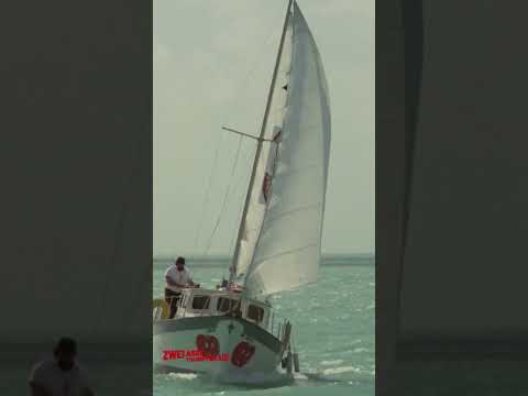 Terence klaut Bud das Essen 🍝 #BudSpencer #TerenceHill