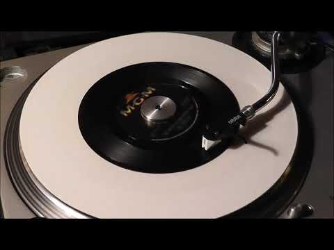 The Animals - The House Of The Rising Sun - Mono Short 45RPM