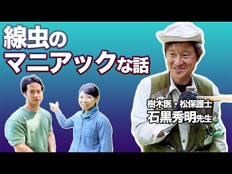 マツについて詳しく解説