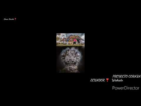 Proyecto coraza  Wiskisito