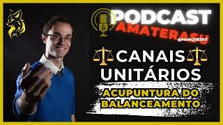 Acupuntura e MTC - Canais Unitários na Prática Clínica - Parte 03