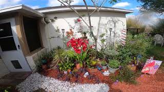 2023 back yard after the mulch