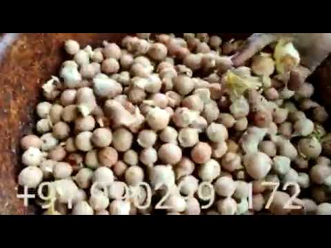 Dehusker single phase arecanut dehusking machine ( 5 model a...