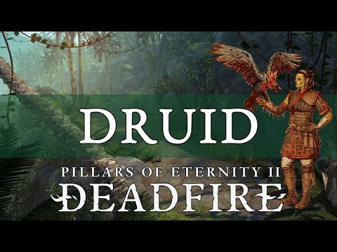 Pillars of Eternity 2 Deadfire Guide: Druid
